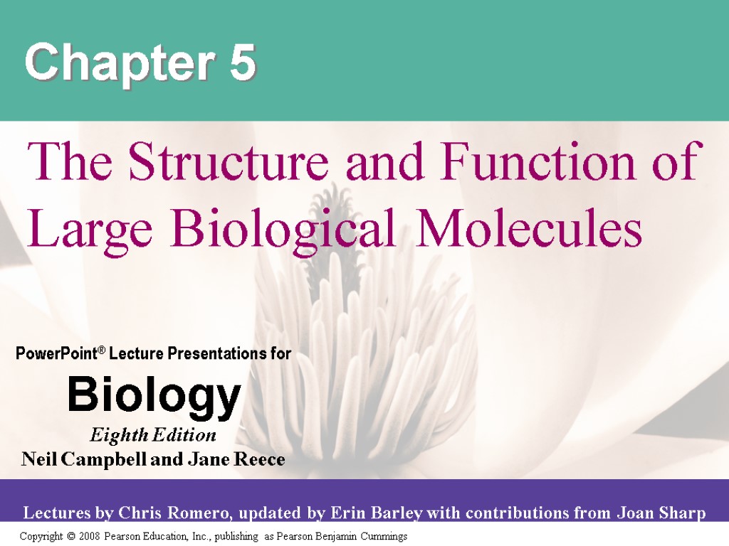 Chapter 5 The Structure and Function of Large Biological Molecules